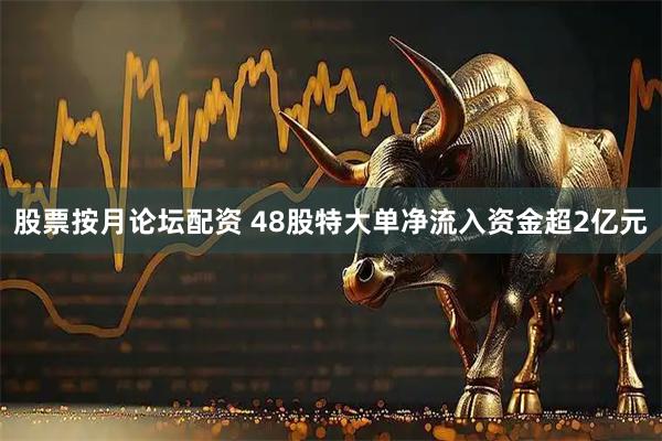 股票按月论坛配资 48股特大单净流入资金超2亿元
